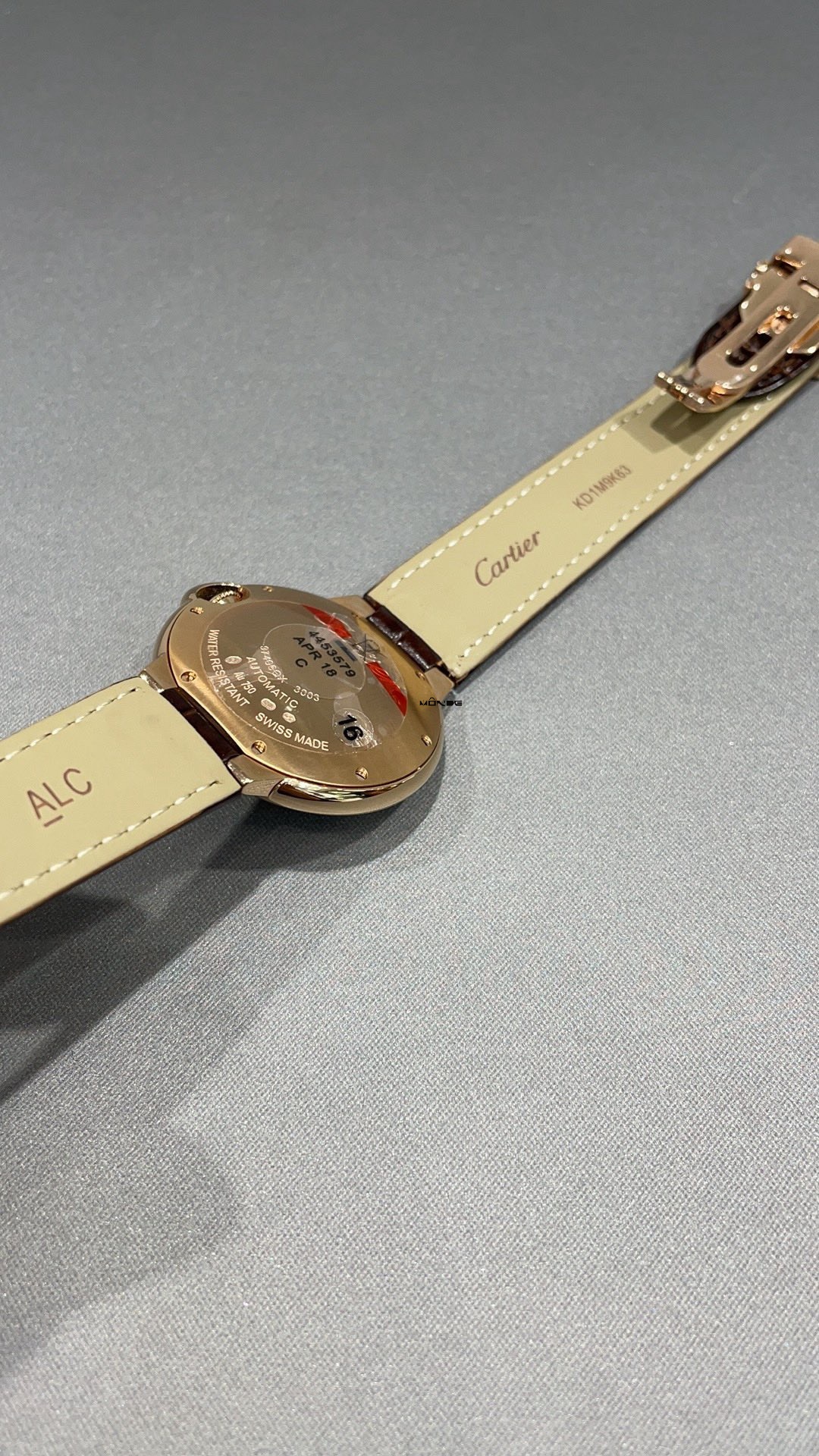 26f521b5874ad8571c81402081cb00a5_1759825379_928.jpg 26f521b5874ad8571c81402081cb00a5_1759825379_928.jpg