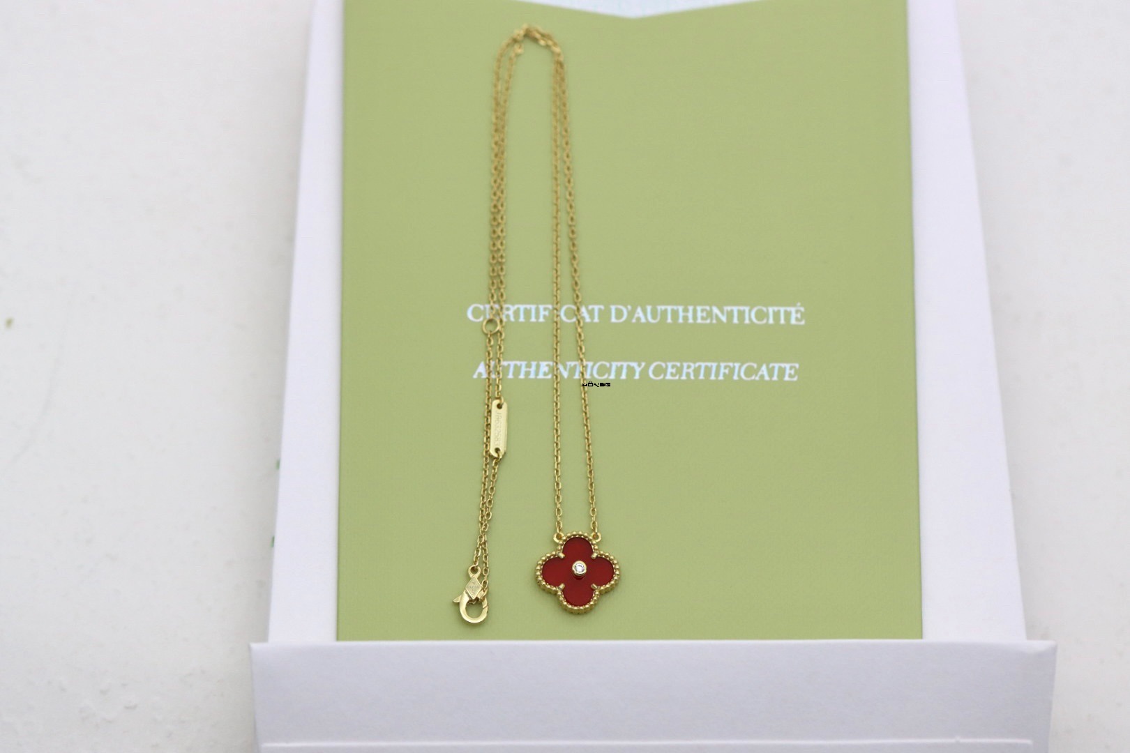 a8916d5cc7d8528ae60d8401a298b270_1762496649_5134.jpg a8916d5cc7d8528ae60d8401a298b270_1762496649_5134.jpg