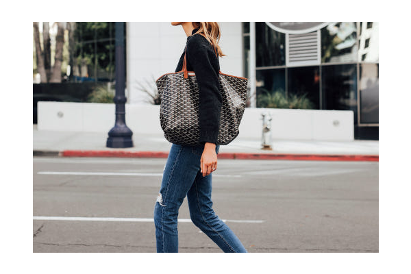 고야드 생루이 백 GM