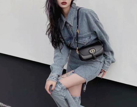 디올 바비 이스트 웨스트 백