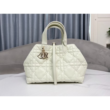 디올 뚜즈흐 미디엄 백