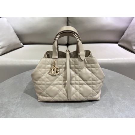 디올 뚜즈흐 미디엄 백