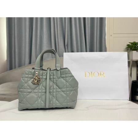 디올 뚜즈흐 미디엄 백