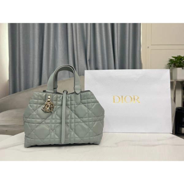 디올 뚜즈흐 미디엄 백