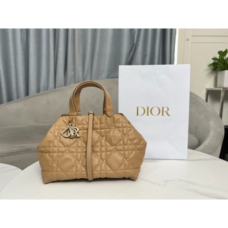 디올 뚜즈흐 미디엄 백