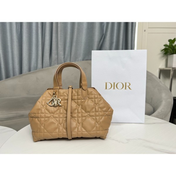 디올 뚜즈흐 미디엄 백