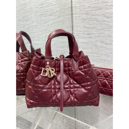 디올 뚜즈흐 미디엄 백