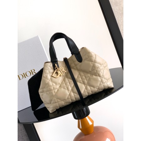 디올 뚜즈흐 미디엄 백