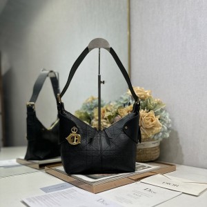 디올 보야지 호보백 스몰